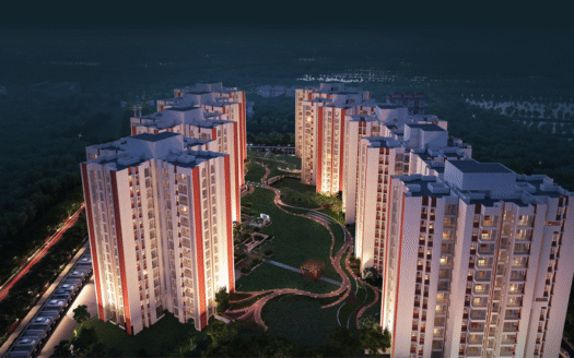 DTC Capital City Crest